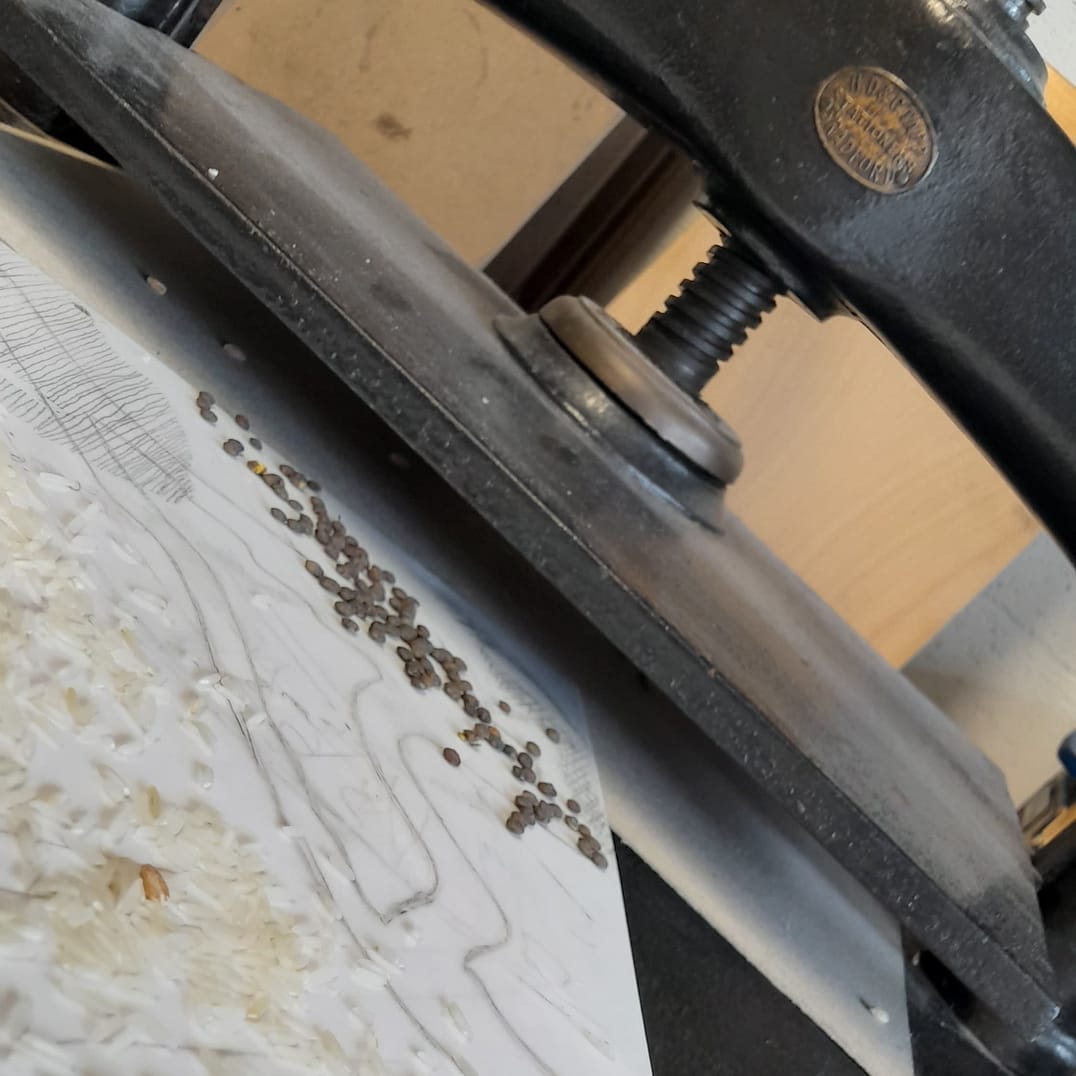 IMG_20220726_214304_871 IMG_20220726_214304_871