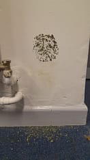 20221130_165042 20221130_165042