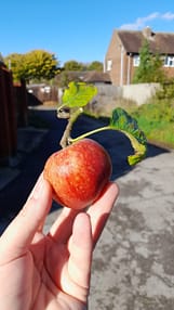 20221026_134334 20221026_134334