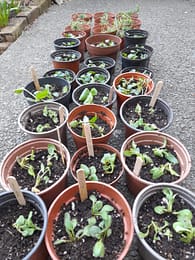 20220413_184623 20220413_184623