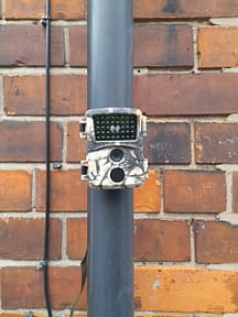 20220430_182429 20220430_182429