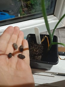 20220425_215548 20220425_215548