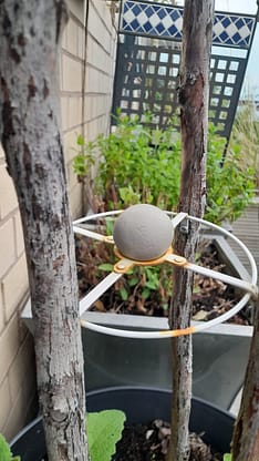 20220728_180431 20220728_180431