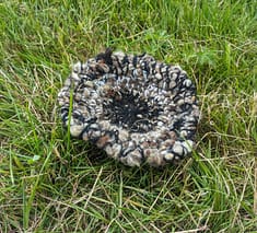 PXL_20230816_105700816.MP PXL_20230816_105700816.MP