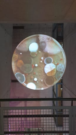 20220504_155601 20220504_155601