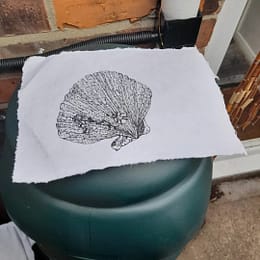 IMG_20220405_183530_599 IMG_20220405_183530_599