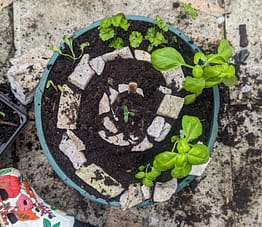 PXL_20240504_155304998.MP PXL_20240504_155304998.MP