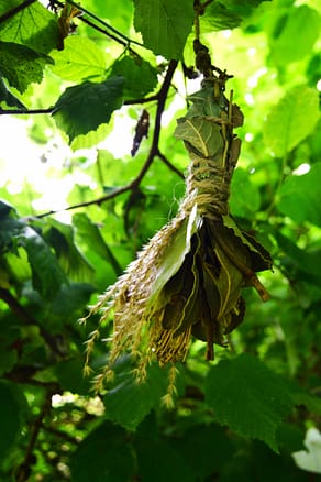 DSC_0013.1 DSC_0013.1