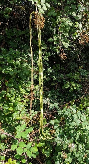 PXL_20230816_143846527.MP PXL_20230816_143846527.MP