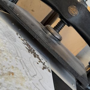 IMG_20220726_214304_871 IMG_20220726_214304_871