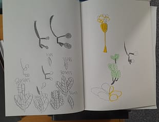 20221109_153211 20221109_153211