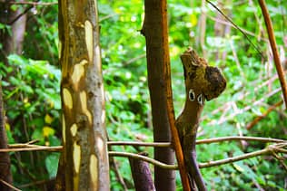 DSC_0037.1 DSC_0037.1