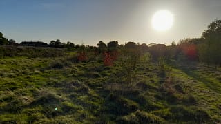 20221026_161222 20221026_161222