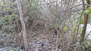 20221216_110054 20221216_110054