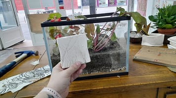 20220907_181902 20220907_181902