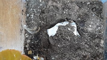 20220907_181938 20220907_181938