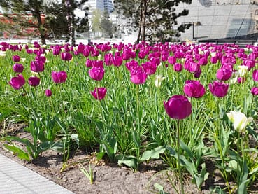 20220504_102920 20220504_102920