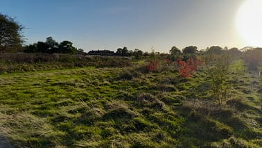 20221026_161218 20221026_161218