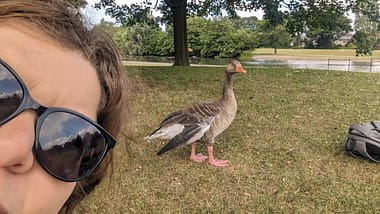 PXL_20230704_140225135.MP PXL_20230704_140225135.MP