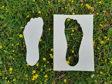 20220427_125343 20220427_125343