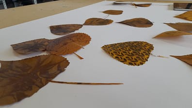 20220910_160245 20220910_160245