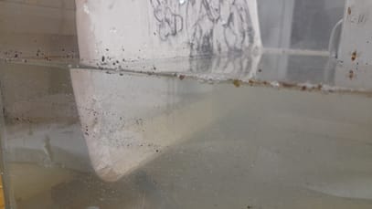 20230104_170946 20230104_170946