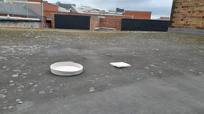 20220907_183339 20220907_183339