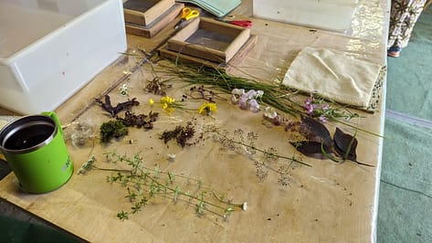 PXL_20230814_141414841.MP PXL_20230814_141414841.MP