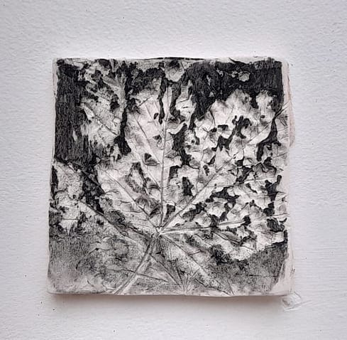 20221130_140028 20221130_140028