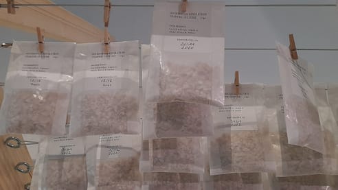 20220504_155031 20220504_155031