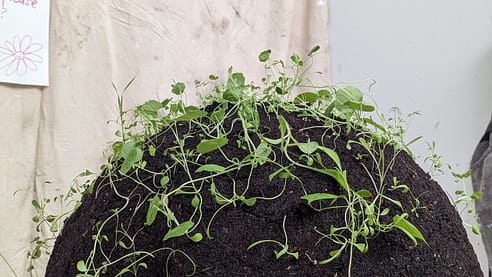 PXL_20230705_152732922.MP PXL_20230705_152732922.MP