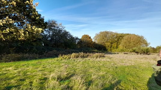 20221026_161230 20221026_161230