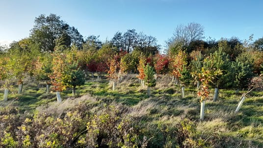 20221026_162153 20221026_162153