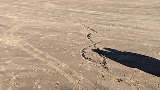 PXL_20230310_141450456.MP PXL_20230310_141450456.MP