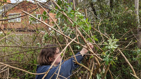 PXL_20230325_153621967.MP PXL_20230325_153621967.MP