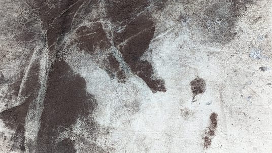 PXL_20230616_154459609.MP PXL_20230616_154459609.MP