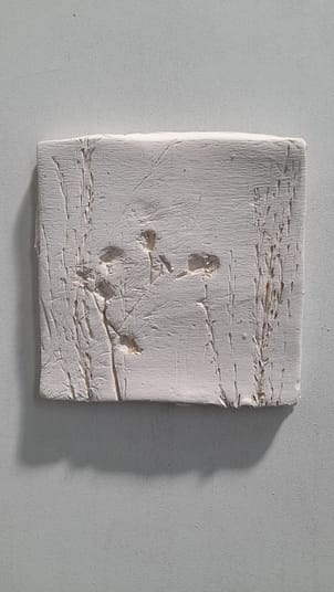 20220907_170234 20220907_170234