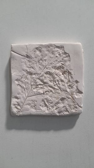 20220907_170252 20220907_170252