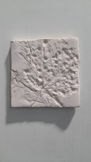 20220907_170311 20220907_170311