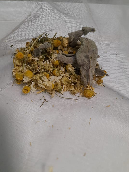 20220409_2134437916517284059106672 20220409_2134437916517284059106672