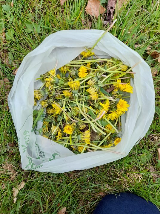 20220427_144430 20220427_144430