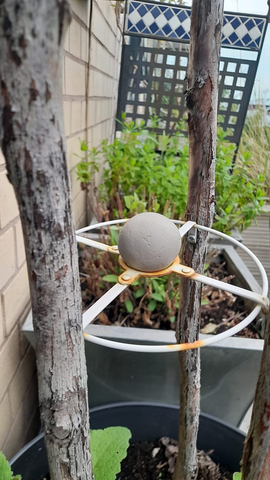 20220728_180431 20220728_180431