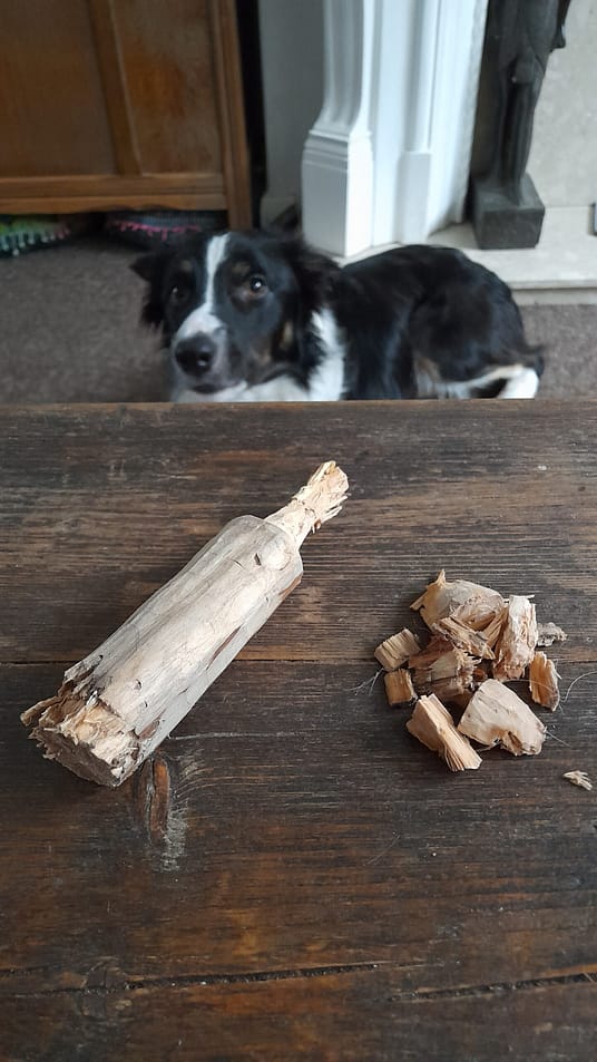 20221003_165023 20221003_165023