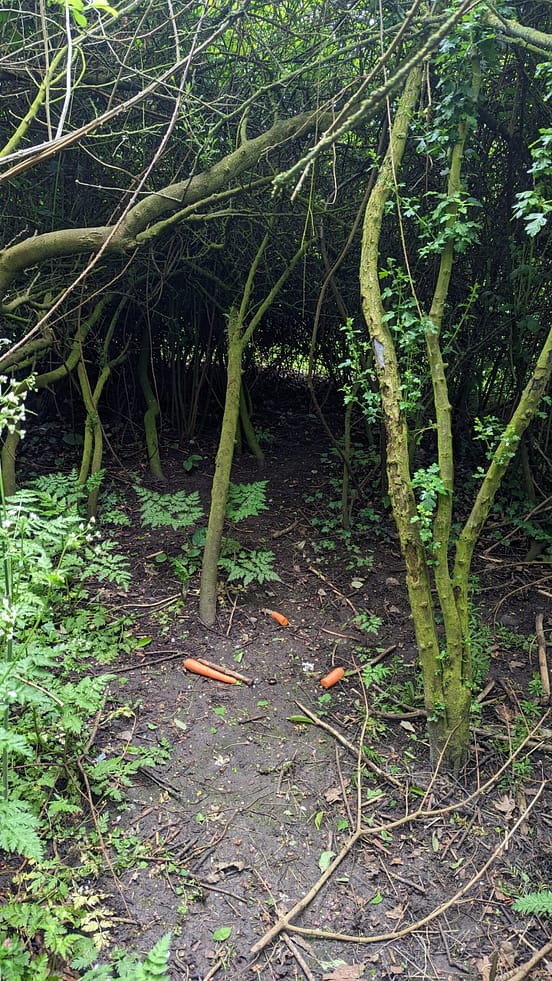 PXL_20230513_161211711.MP PXL_20230513_161211711.MP