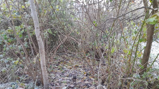 20221216_110054 20221216_110054