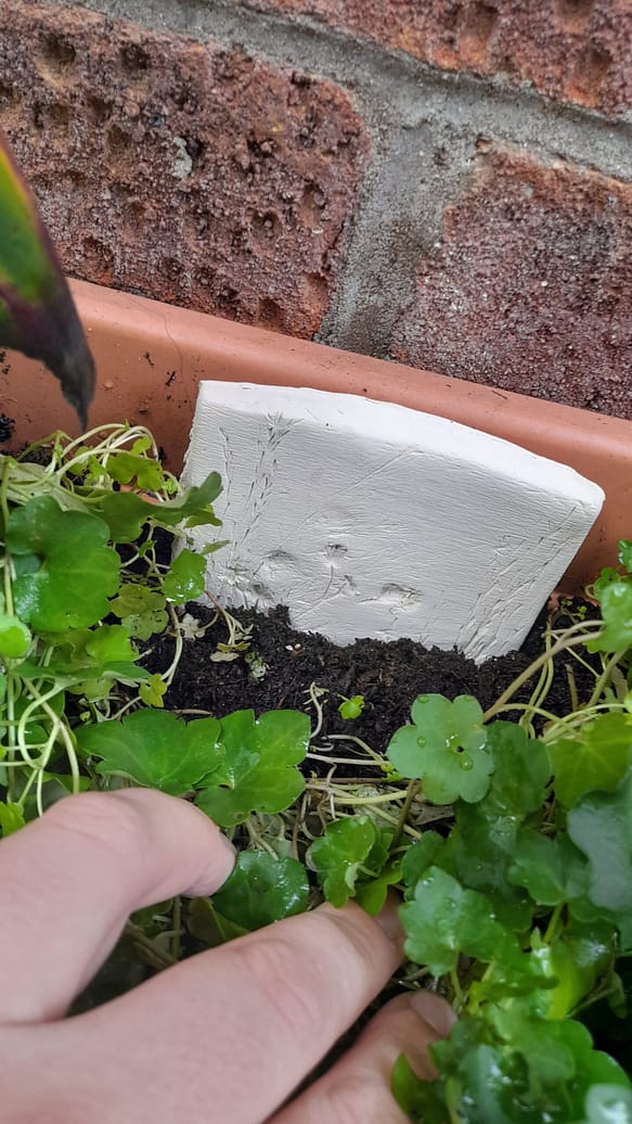 20221116_121254 20221116_121254