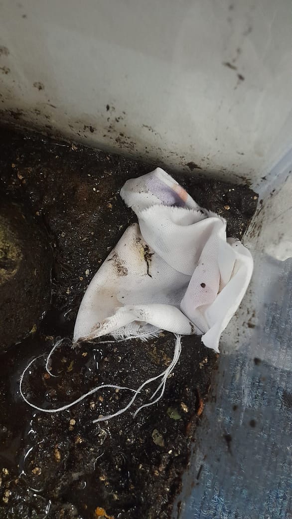 20230104_174658 20230104_174658