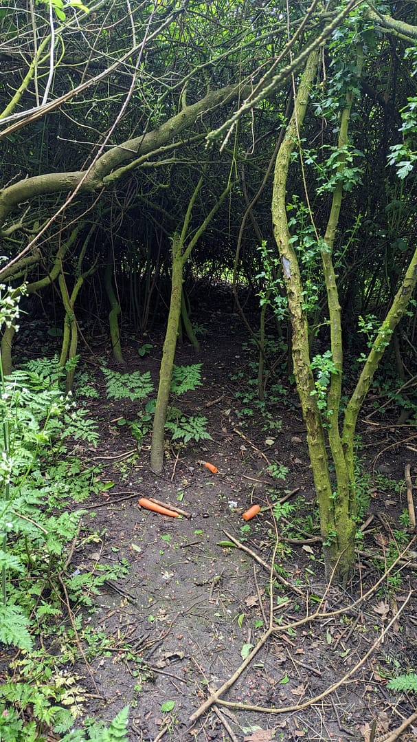 PXL_20230513_161211711.MP PXL_20230513_161211711.MP