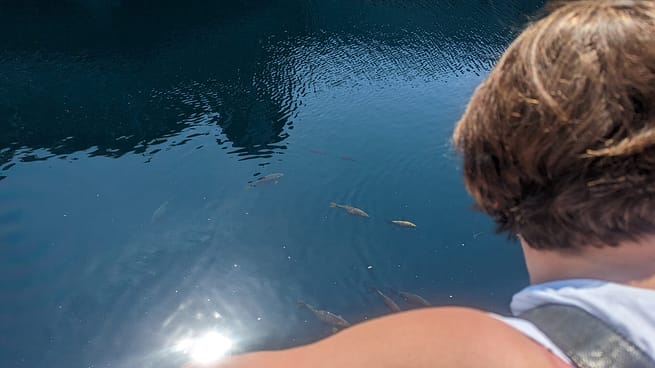 PXL_20230613_120834155.MP PXL_20230613_120834155.MP