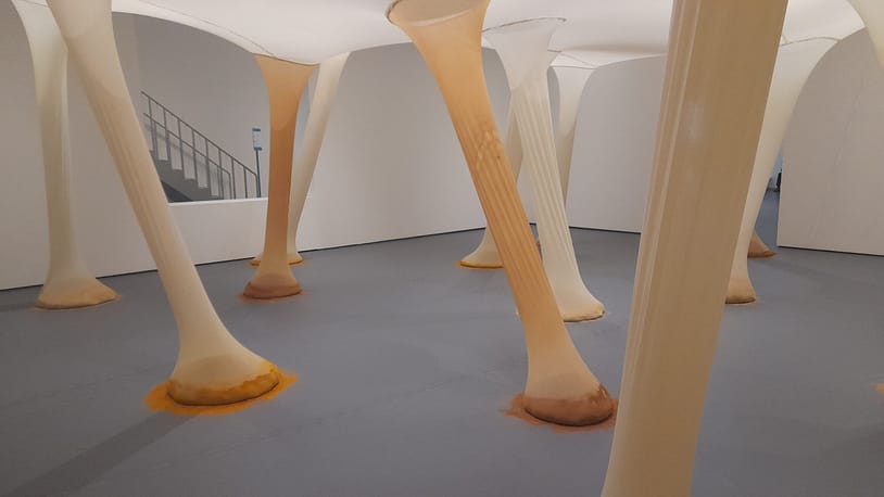 20220504_111706 20220504_111706